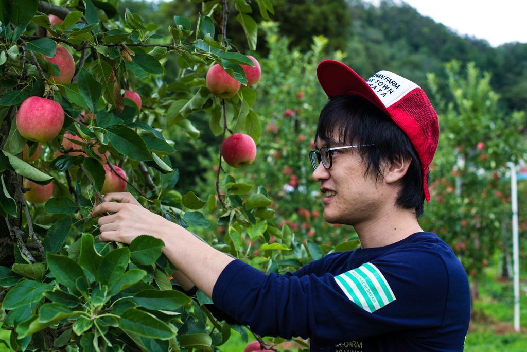 Daichan Farm Guest House Asahi  Экстерьер фото